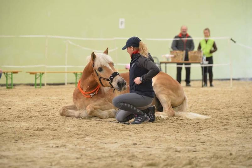 Praznovanje otroških rojstnih dnevov s konji Savinjska