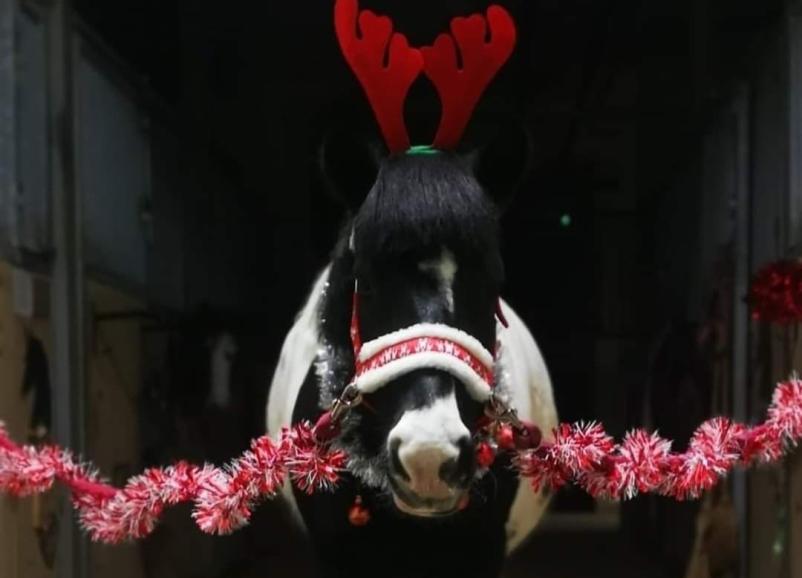 Organizacija otroških rojstnih dnevov Savinjska