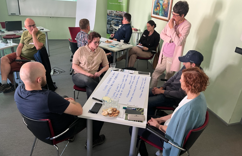 Priprava in izvajanje projektov Notranjsko-kraška regija