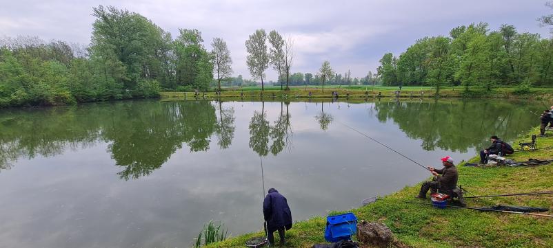 Dovolilnice za ribolov Pomurje