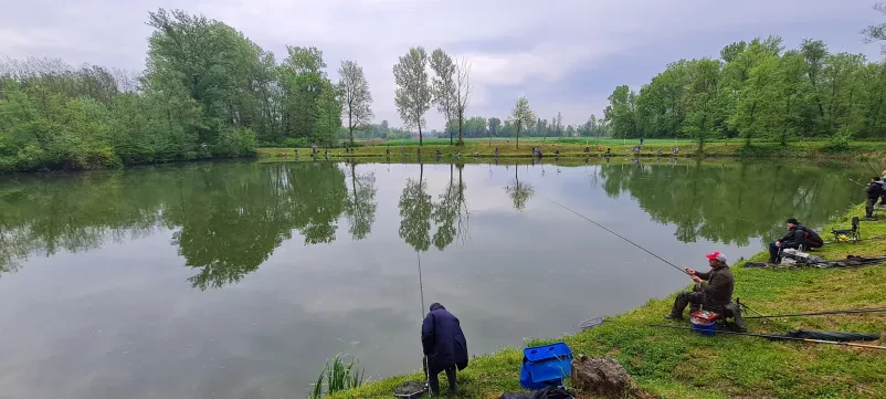 Dovolilnice za ribolov Pomurje