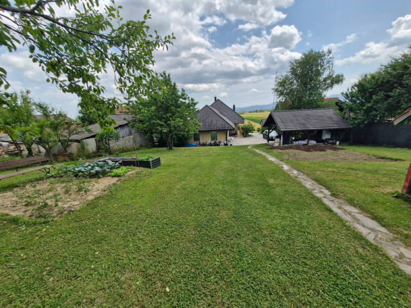 Ugodne CBD kapljice Slovenija