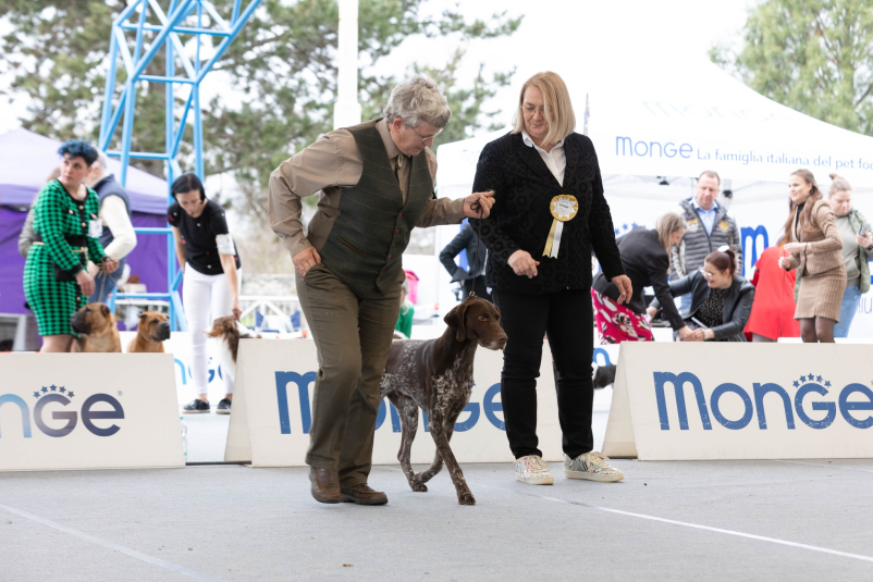 Razstave pasemskih psov Goriška, Slovenija