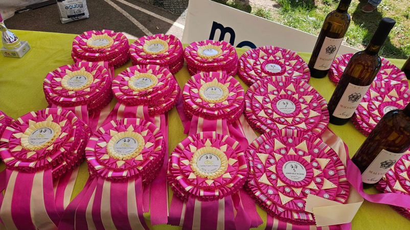 Javne razstave pasemskih psov Nova Gorica, Goriška, Slovenija