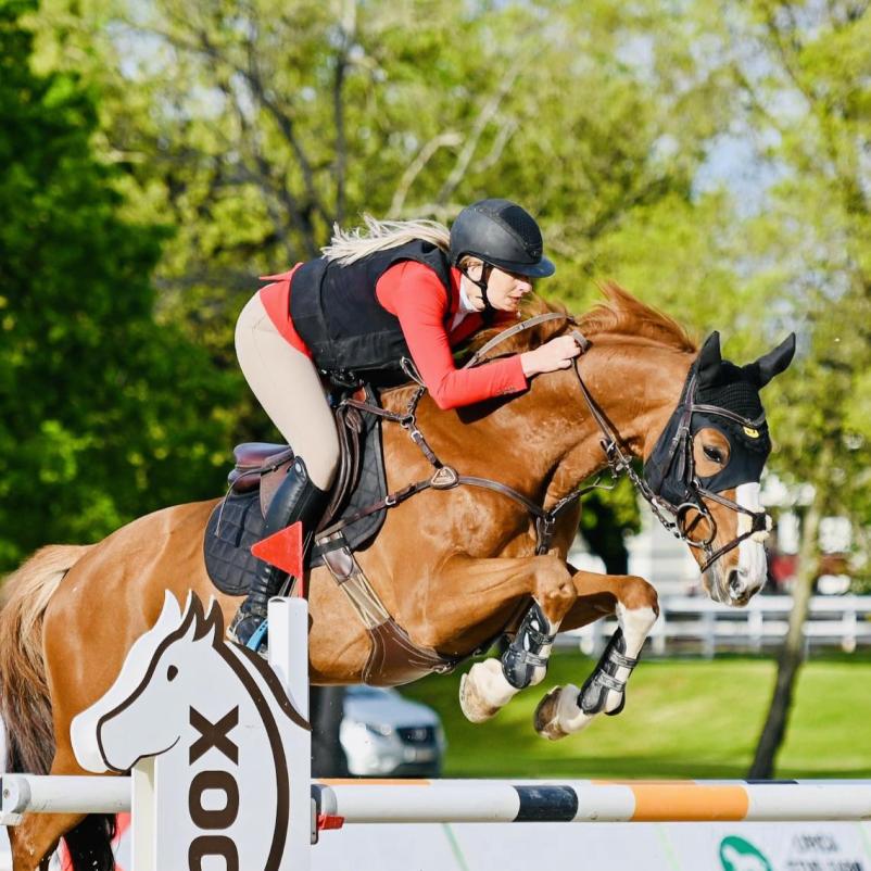 Jahalni klub in šola jahanja v okolici Ljubljane