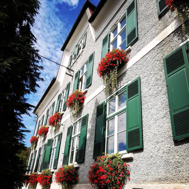 Srednja šola Šentjur