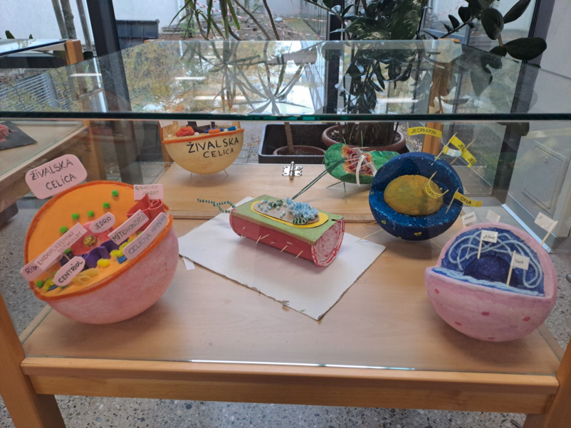 Srednja zdravstvena in kozmetična šola v Mariboru