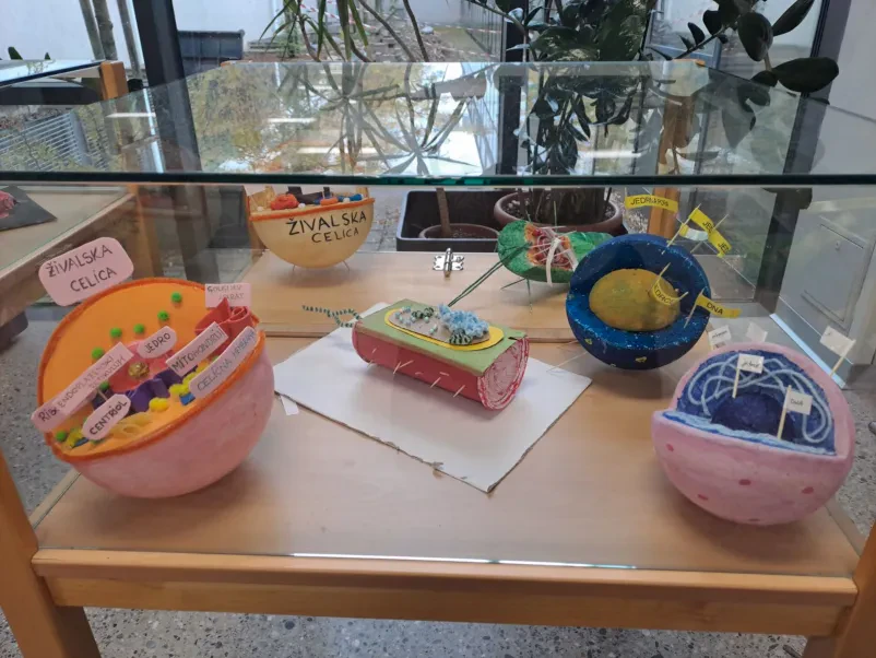 Srednja zdravstvena in kozmetična šola v Mariboru