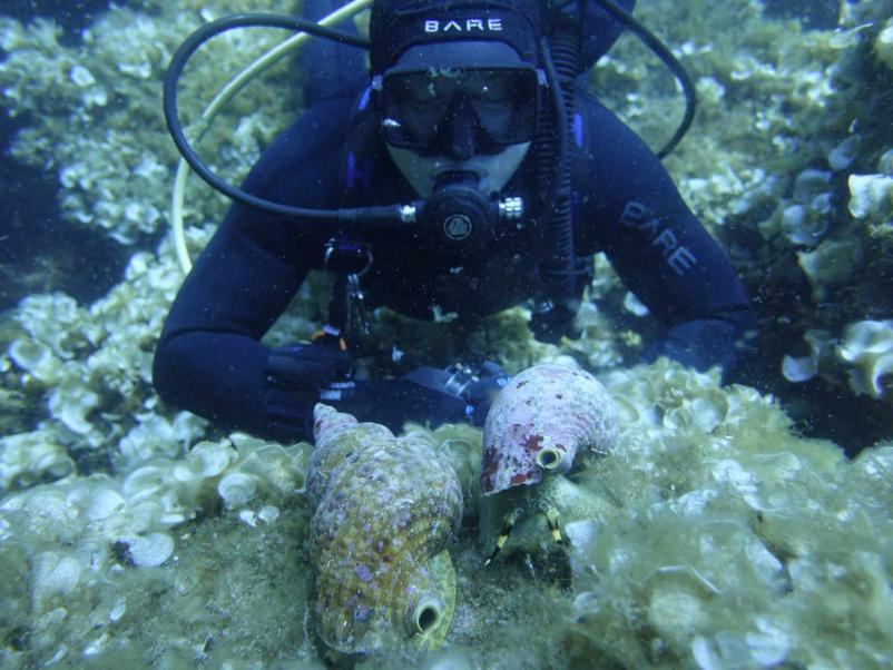 SSI tehnični potapljaški tečaji Slovenija, Hrvaška