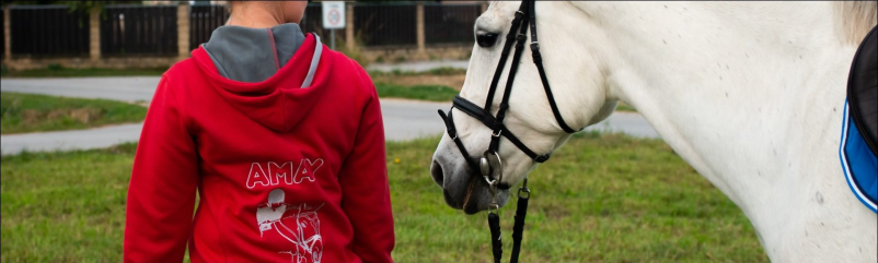 Terapije s pomočjo konjev Savinjska