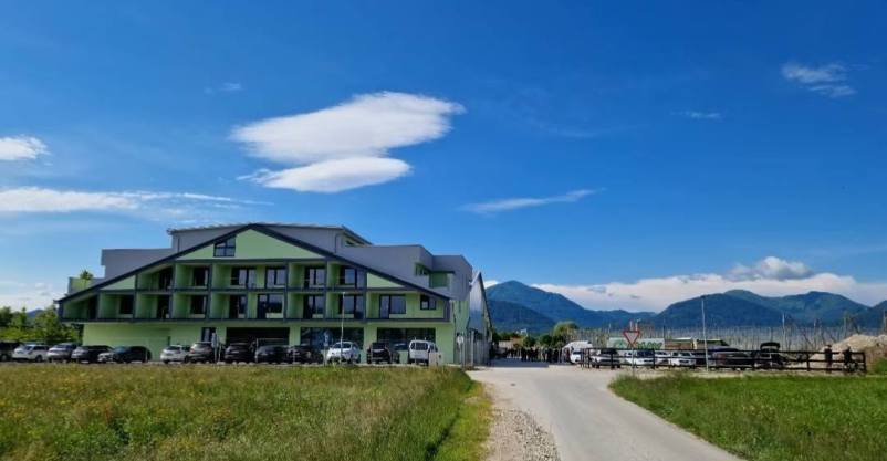 Terapije s konji Savinjska