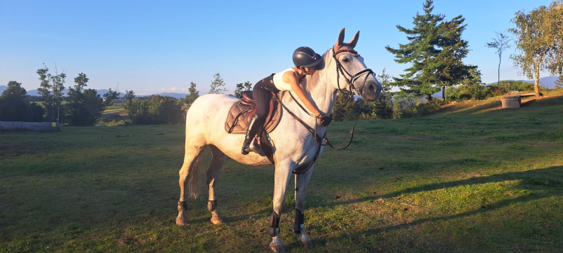 Terapije s pomočjo konj Savinjska