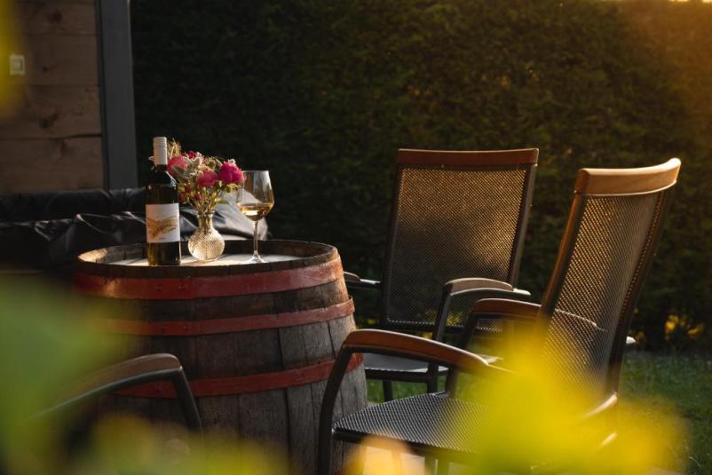 Tour of the Vipava Valley wine cellar