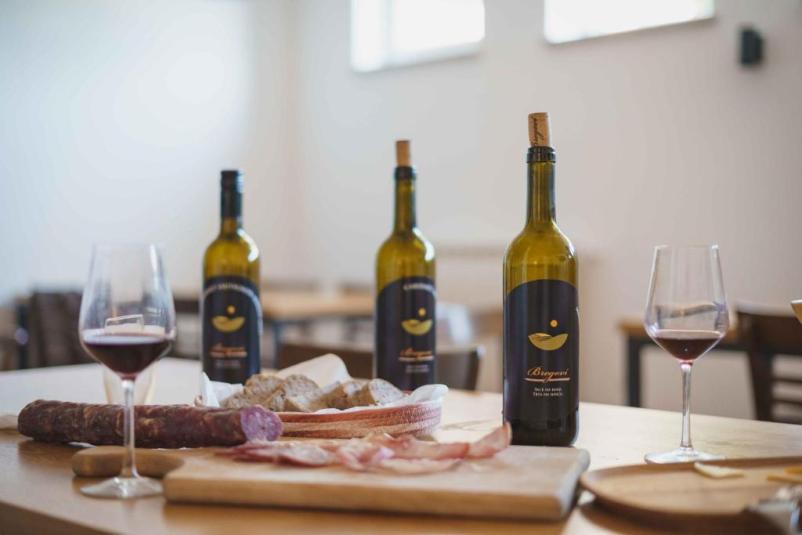 Wine cellar tour and wine tasting Vipava Valley