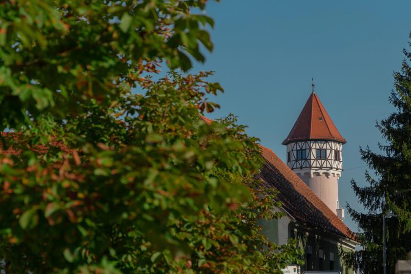 Turistični dogodki Brežice, Posavje