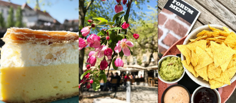 Vabljeni v ugoden bar s hrano - Forum!