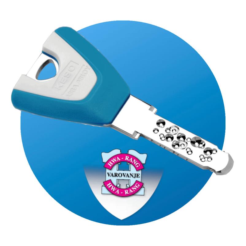 Tehnično varovanje Štajerska, Slovenija