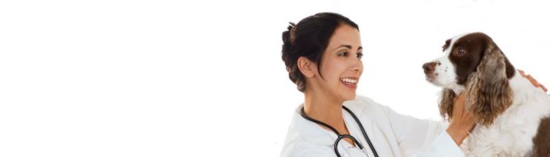 Veterinarska obravnava Pomurje