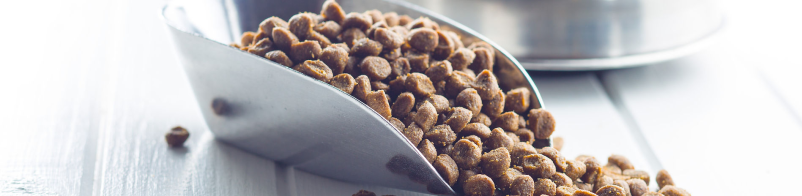 Veterinar za male živali Osrednja Slovenija