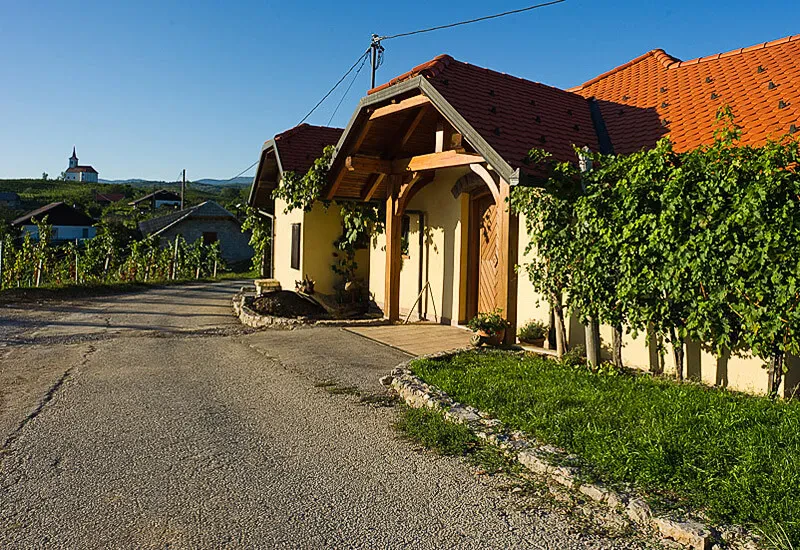 Najboljša vinoteka Dolenjska