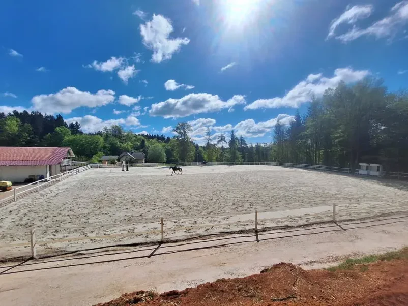 Vzreja in oskrba konj