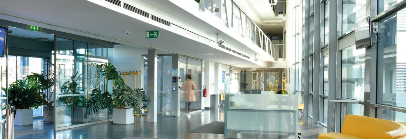 Medicina dela Ljubljana, Slovenija