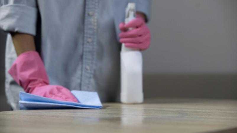 Čiščenje zavodov Celje, okolica