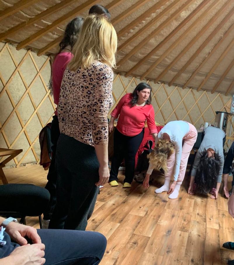 Sistemske postavitve