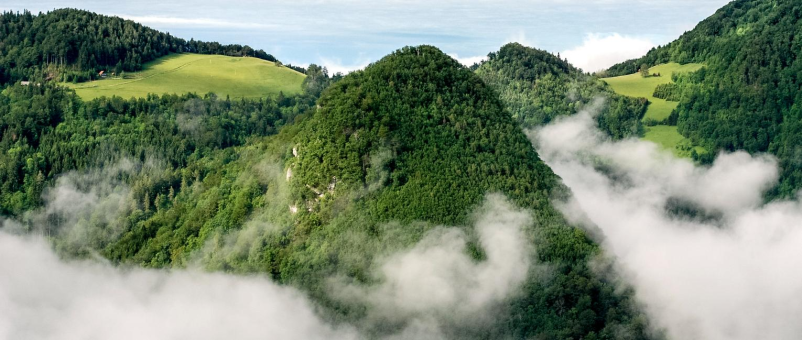 Javna obvestila Občine Tabor