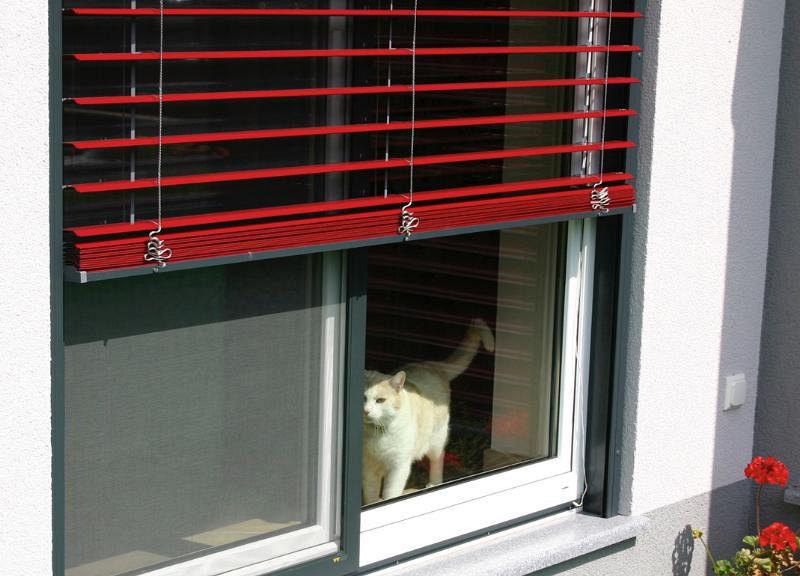 Komarniki Kranj in okolica