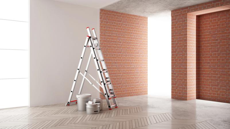 Slikopleskar Mengeš