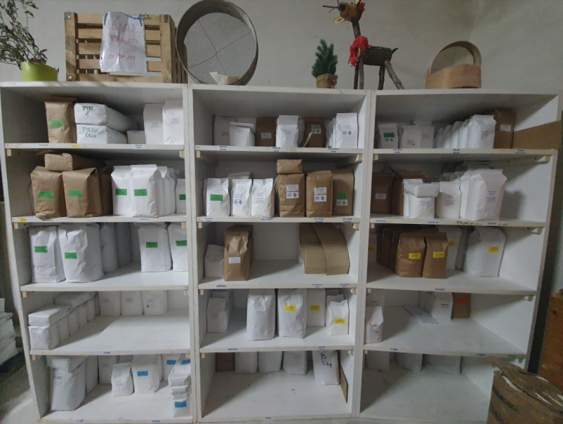 Ugodno mlinarstvo na Primorskem