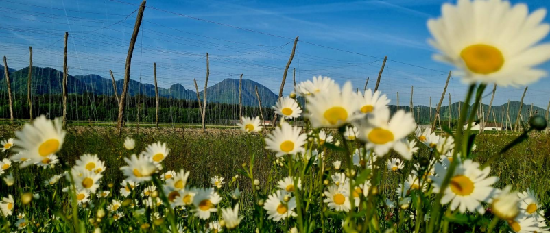 Turizem v Občini Tabor