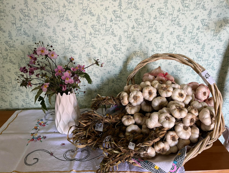 Odlična hrana in dnevne malice Koroška