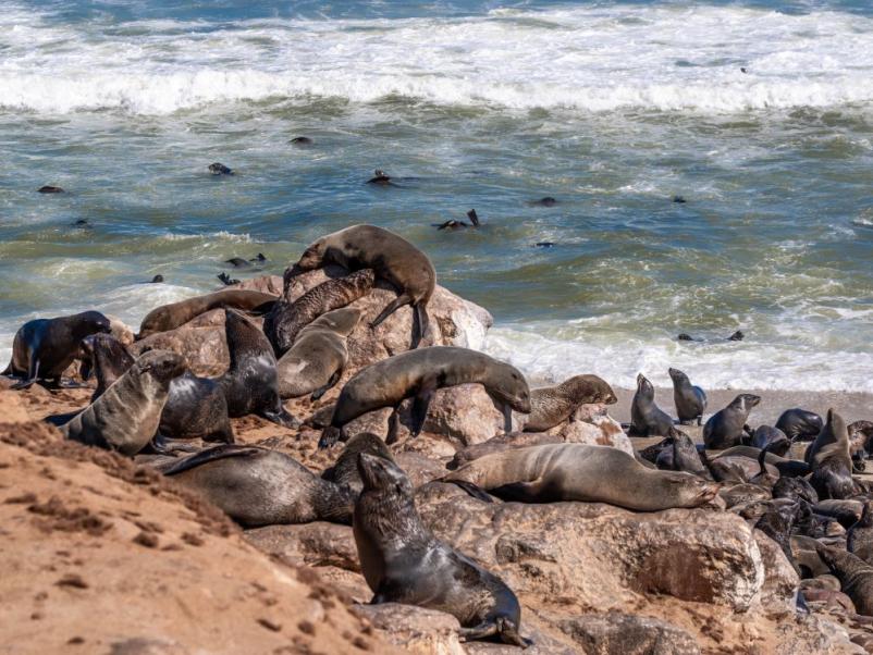 Potovanje v Namibijo s turistično agencijo