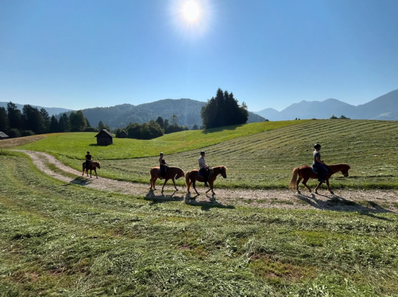 Otroško jahanje Gorenjska