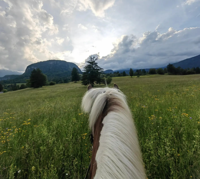 Jahanje za najmlajše Gorenjska