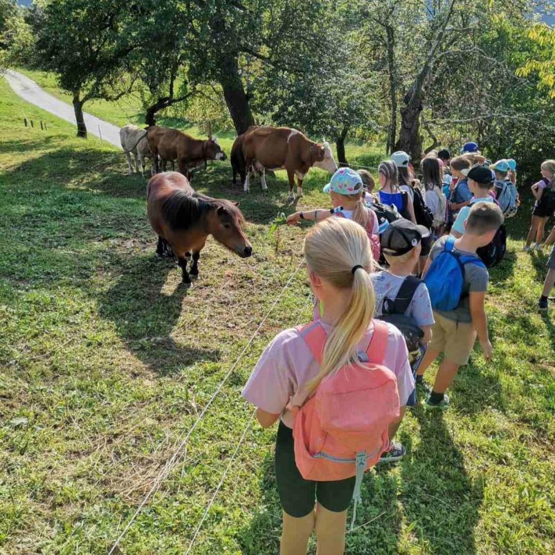 Kmetija s poletnim taborom