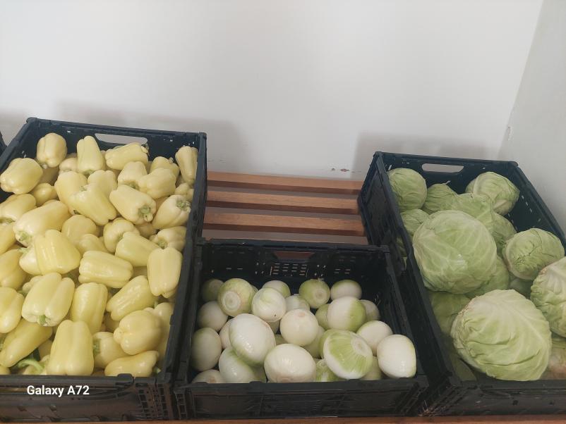 Domača zelenjava iz lastne pridelave Krško