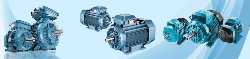 Servis elektromotorjev