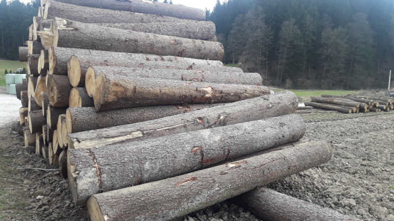 Odkup lesa Ljubljana, Osrednja Slovenija