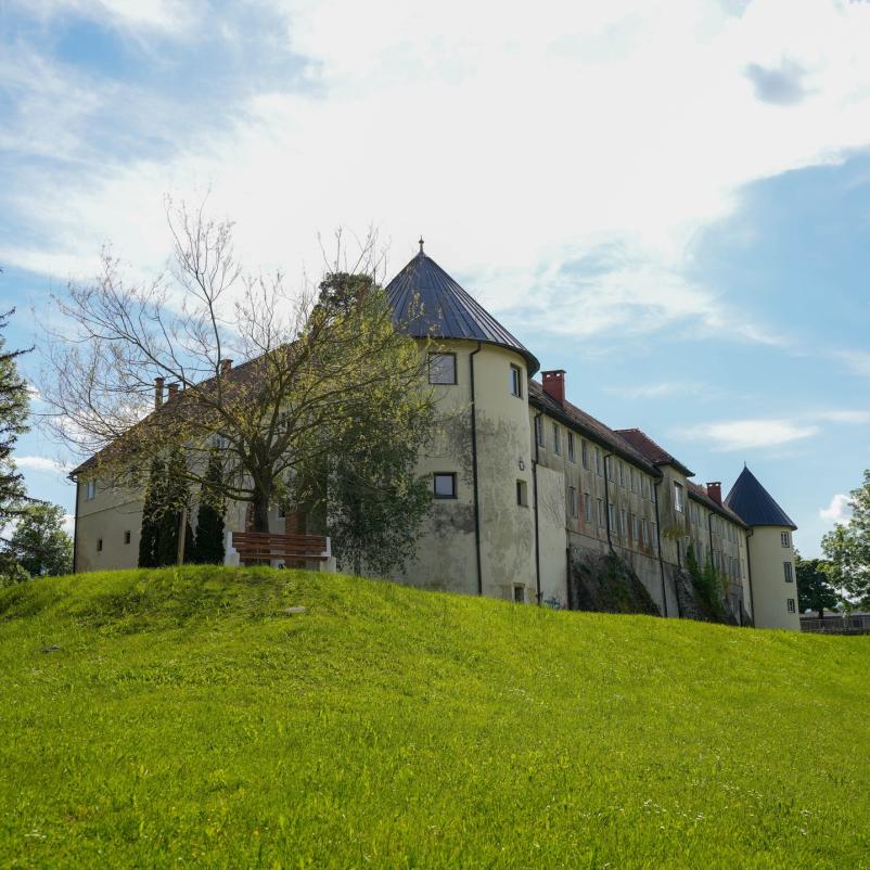 Prostor za zaključene družbe Savinjska