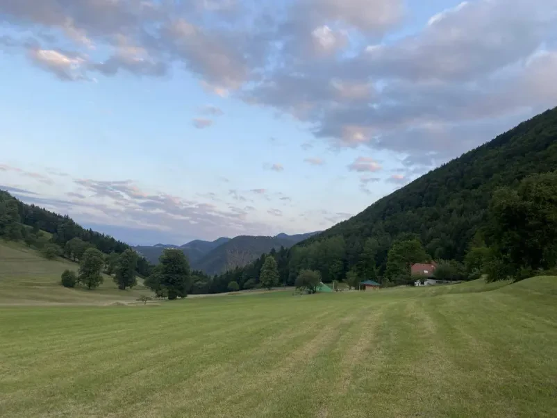 Sistemska terapija