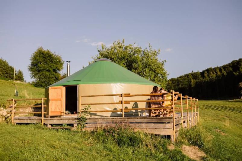 Sistemska postavitev družine