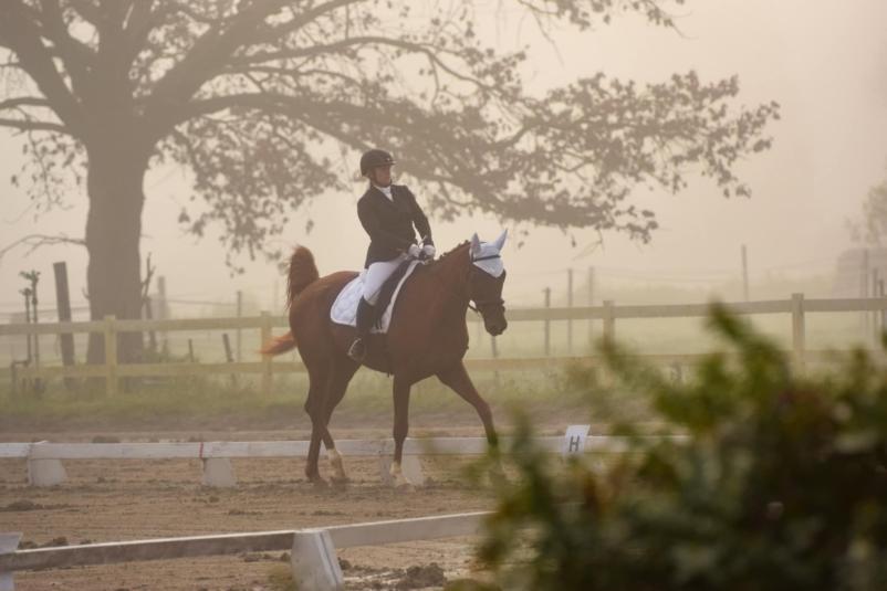 Športno in rekreativno jahanje Ljubljana, okolica