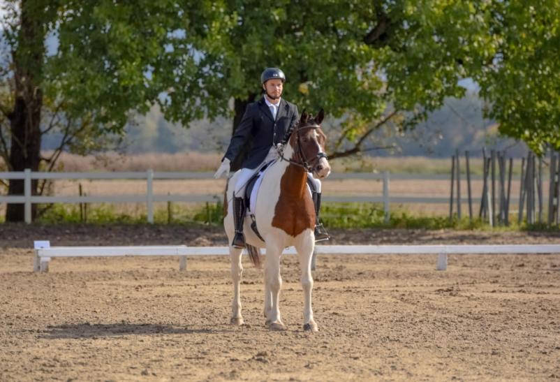 Rekreativno jahanje konj Osrednja Slovenija