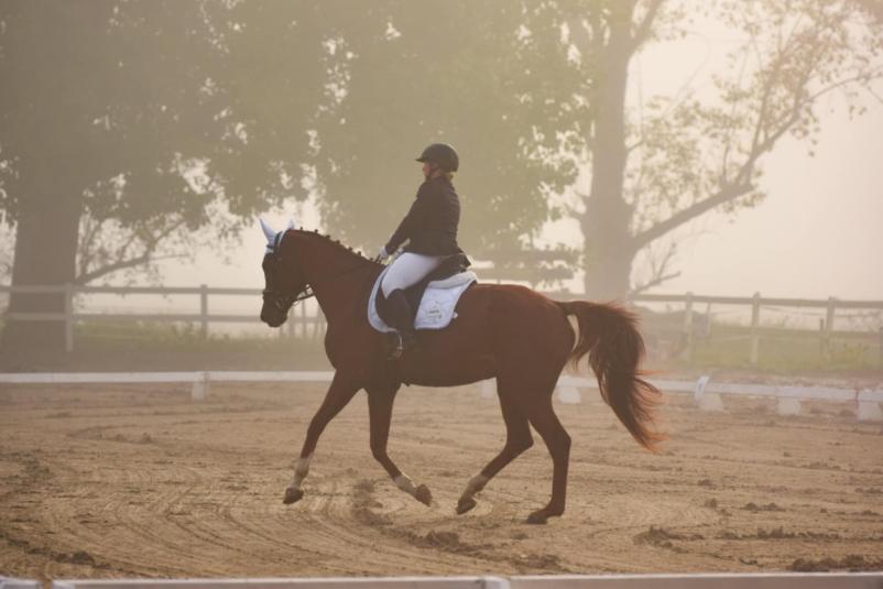 Športno in rekreativno jahanje Zasavje