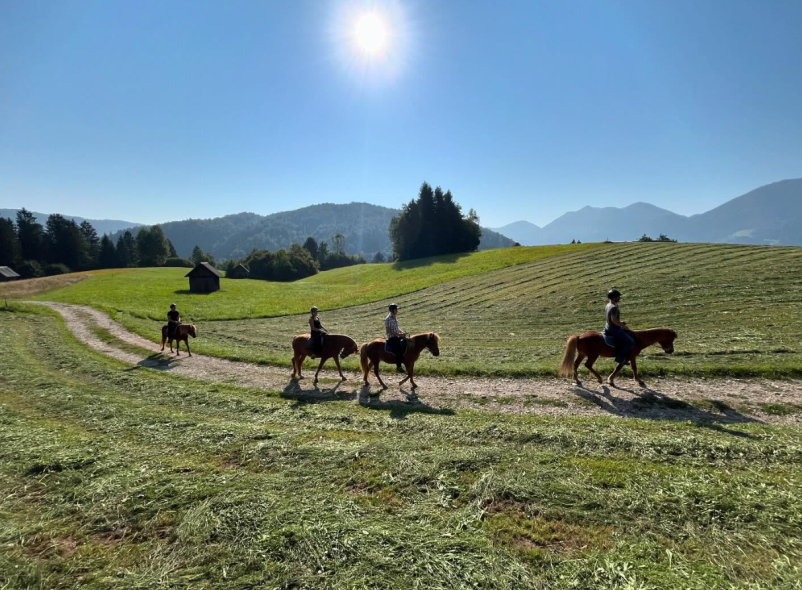 Terensko jahanje konj na Gorenjskem