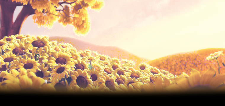 Trgovina z naravno kozmetiko Ljubljana, Slovenija