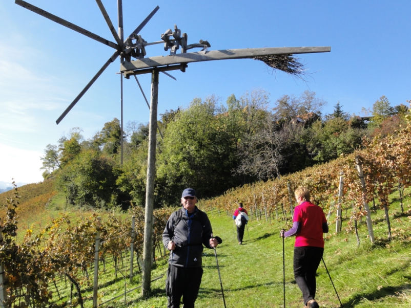 Tečaj nordijske hoje Celje